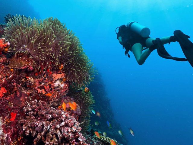 Island Culture: Discovering Local Traditions and Heritage in the Maldives