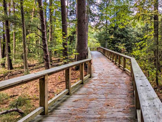 Erie’s Wild Trails and Quiet Beauty: A Journey for Outdoor Enthusiasts