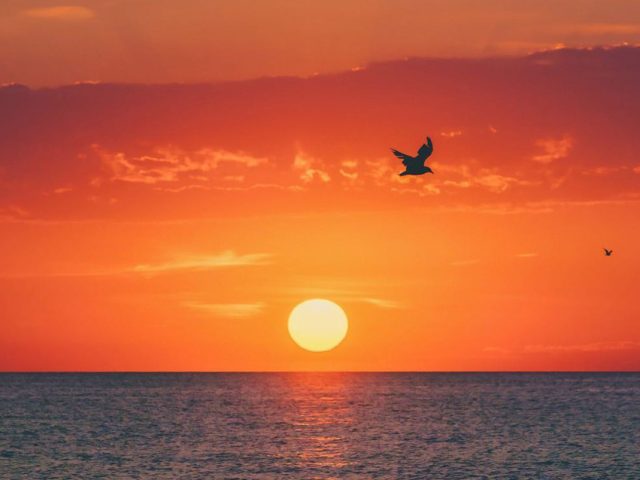 Efficiently Exploring Erie in One Day: A Travel Log from Sunrise to Sunset